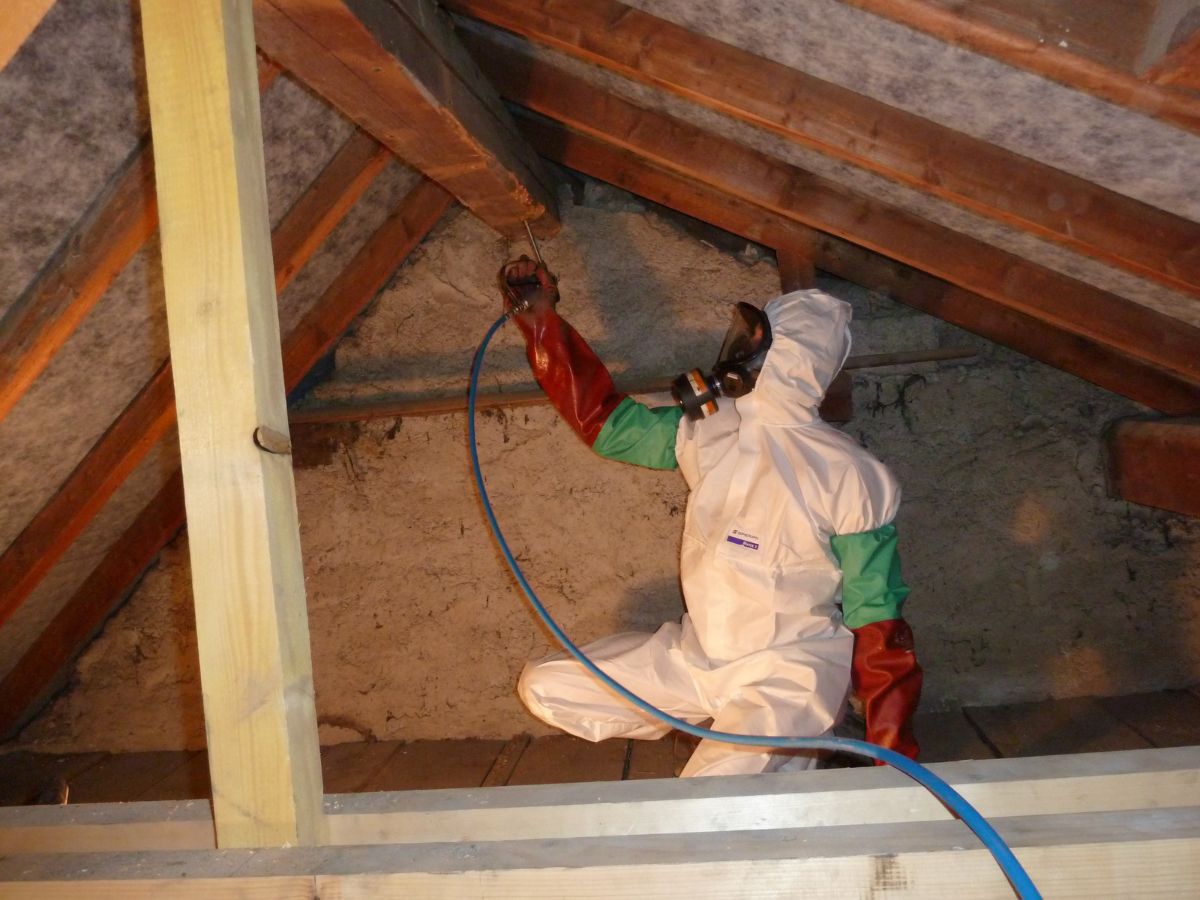 Traitement Charpente